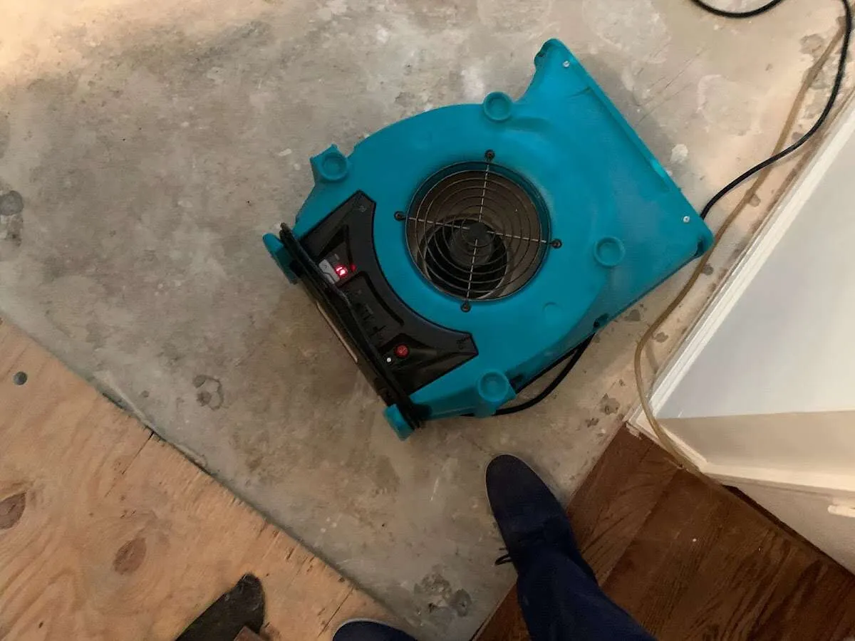 Air mover drying subfloor during Commercial Water Damage Restoration in Paxton